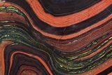 Polished Tiger Iron Stromatolite - ( Billion Years) #92977-1